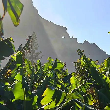 Buenavista Oasis * Buenavista del Norte